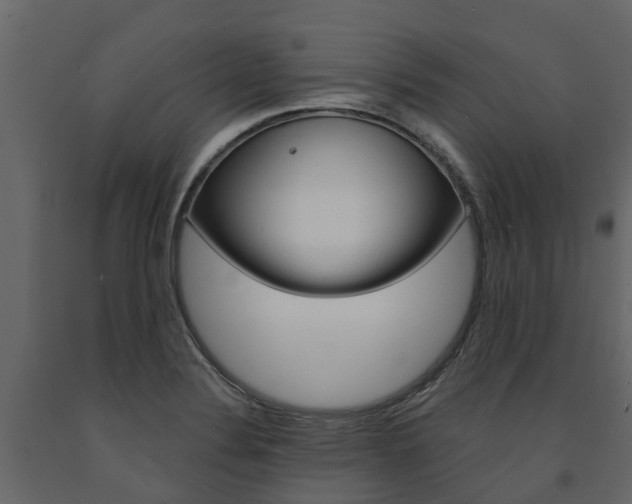 X0000091691324200708231122