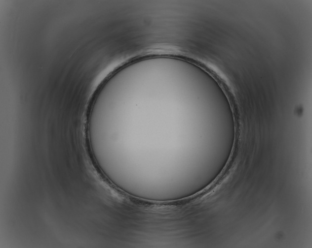 X0000091691325200708231122