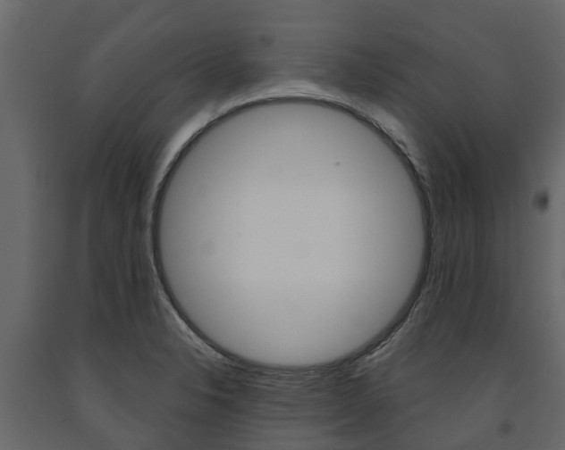X0000091691326200708231122