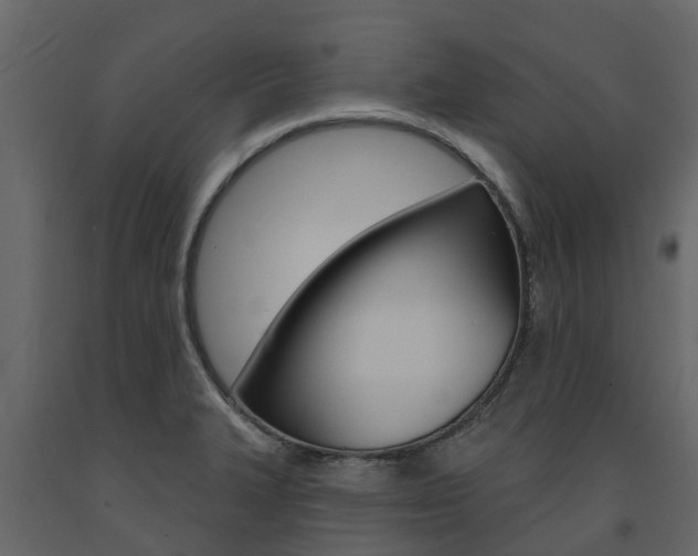 X0000091691327200708231122