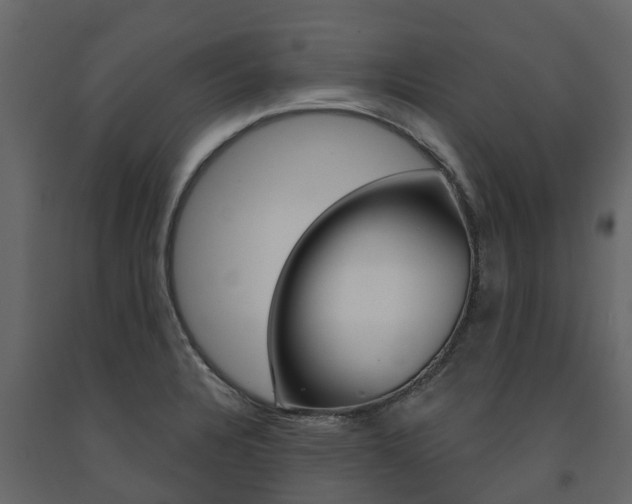 X0000091691328200708231122
