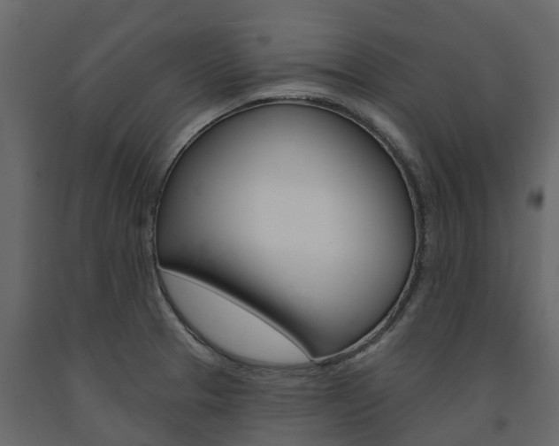 X0000091691329200708231122