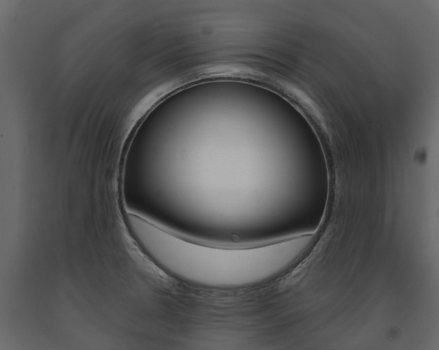 X0000091691330200708231122