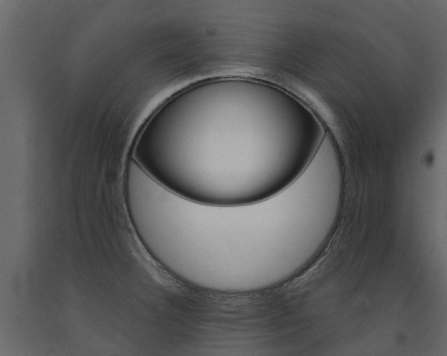 X0000091691332200708231122