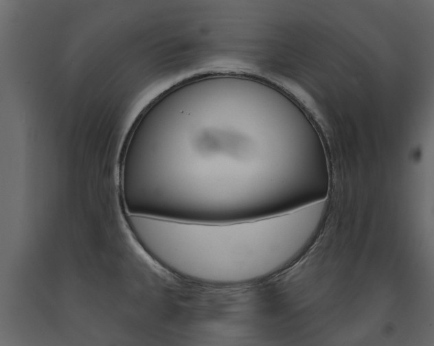 X0000091691335200708231122