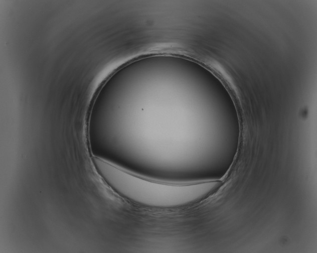 X0000091691336200708231122