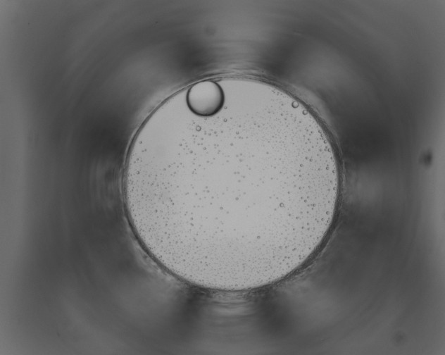 X0000091691338200708231122