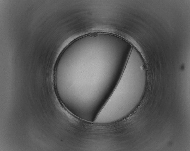 X0000091691339200708231122