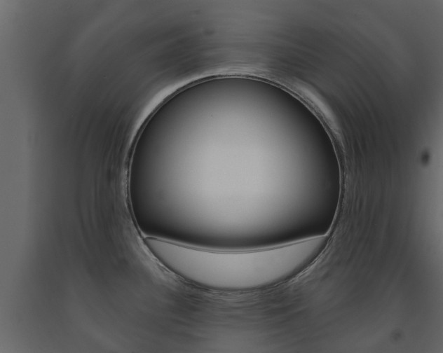 X0000091691340200708231122