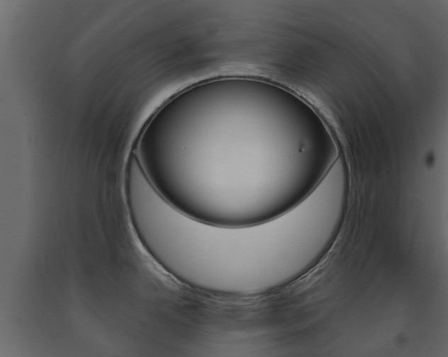 X0000091691342200708231122