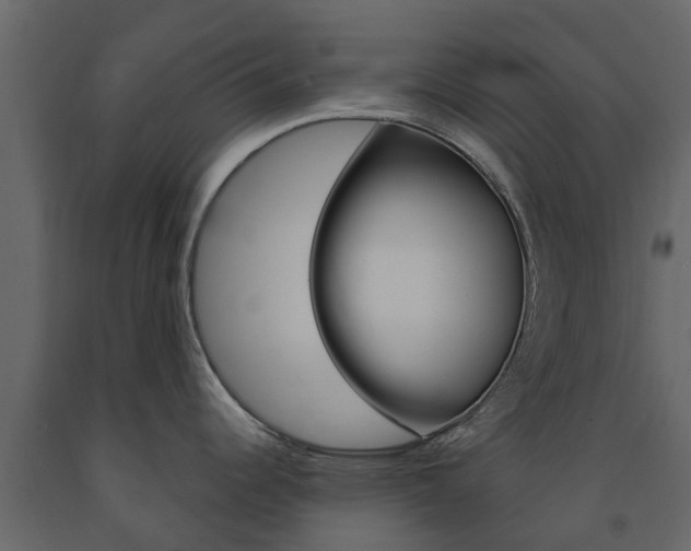 X0000091691344200708231122