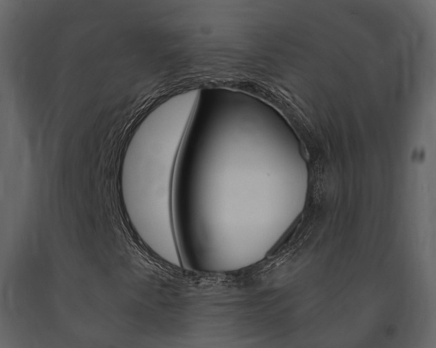 X0000091691345200708231121