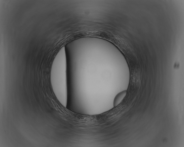 X0000091691346200708231121