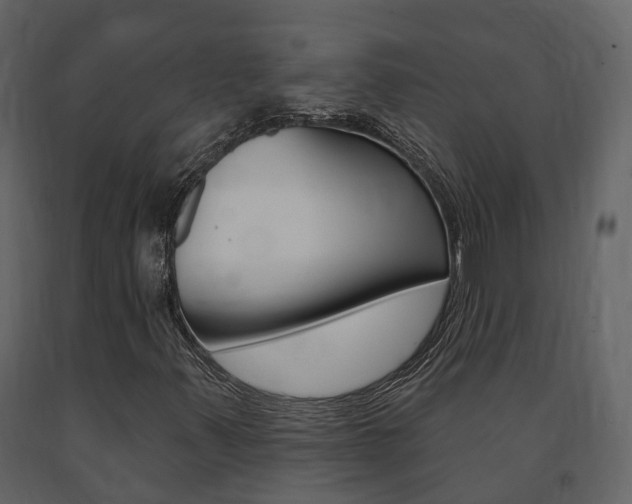 X0000091691347200708231121