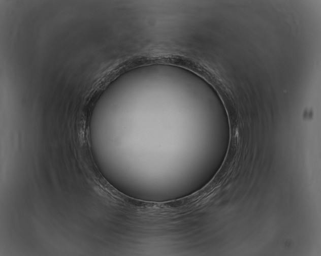 X0000091691348200708231121
