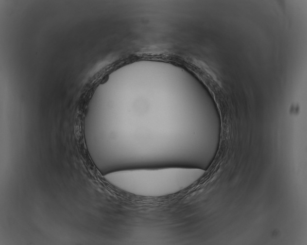 X0000091691350200708231121