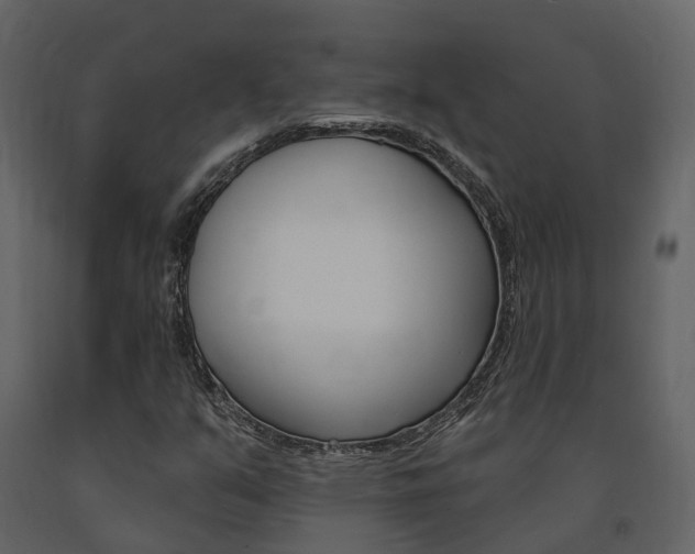 X0000091691351200708231121