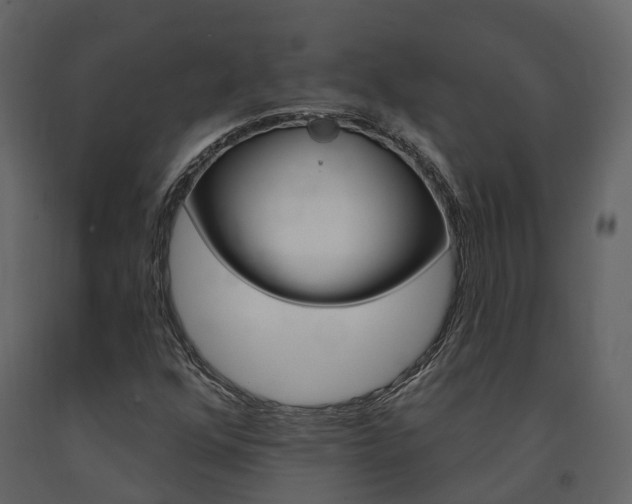 X0000091691352200708231121