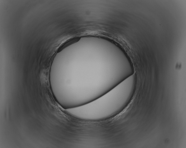 X0000091691353200708231121