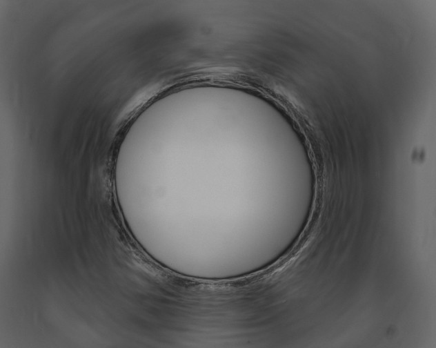 X0000091691354200708231121