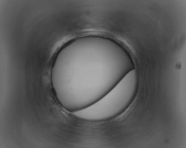 X0000091691357200708231121