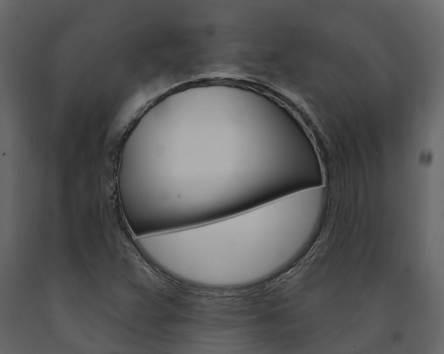 X0000091691359200708231121