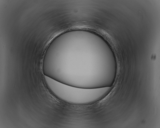 X0000091691361200708231121