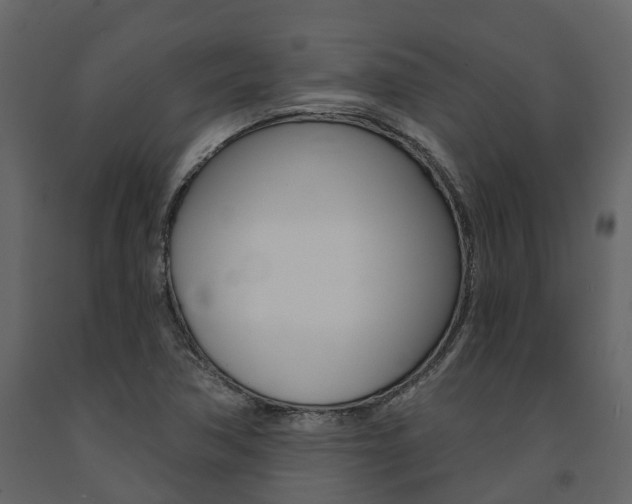 X0000091691362200708231121