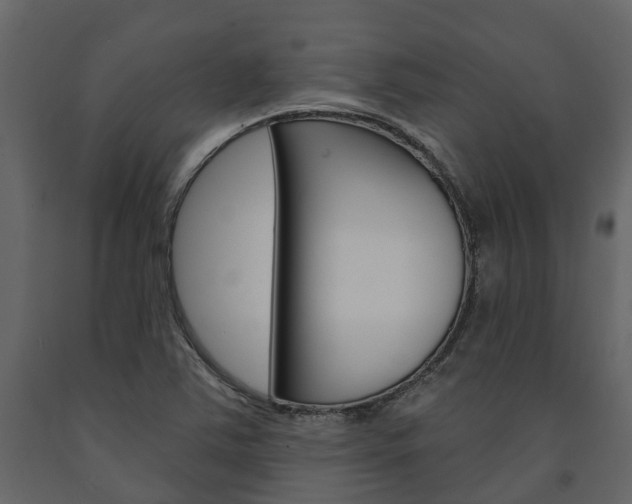 X0000091691363200708231121