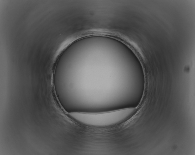 X0000091691365200708231121