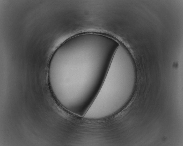 X0000091691367200708231121