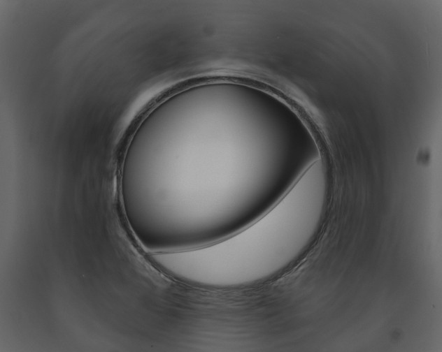 X0000091691368200708231121