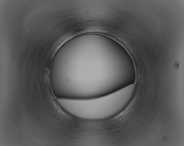 X0000091691369200708231121