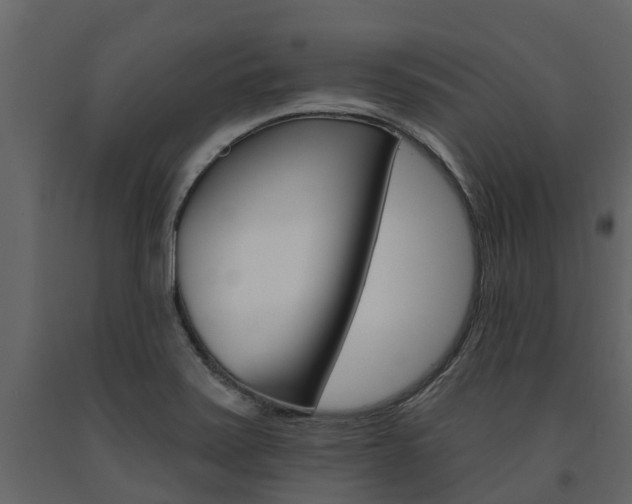 X0000091691371200708231121
