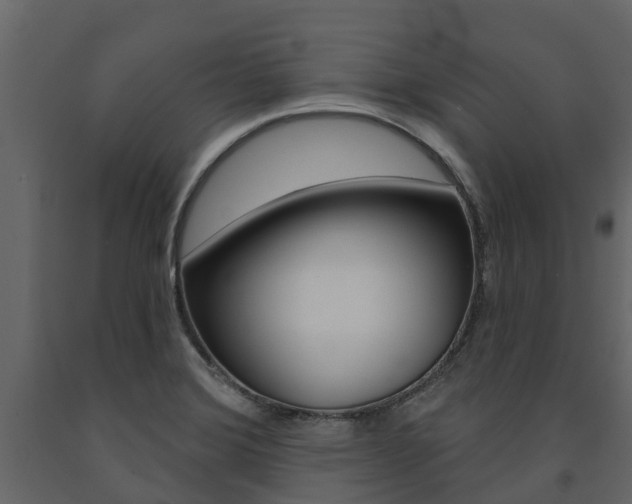 X0000091691372200708231121