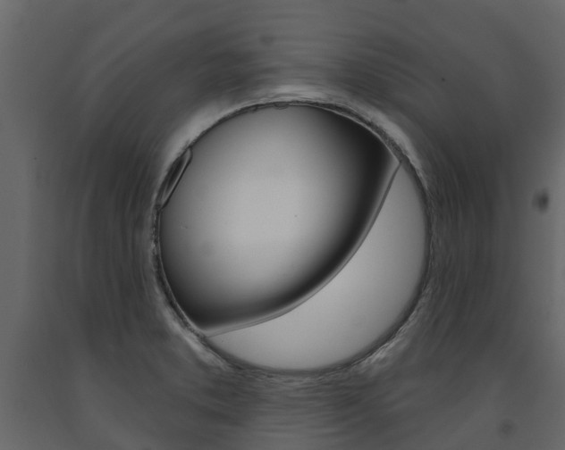 X0000091691373200708231121