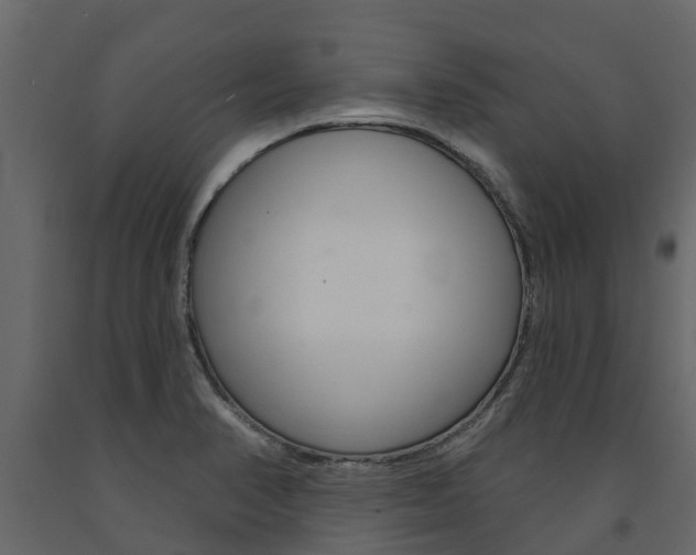 X0000091691374200708231121