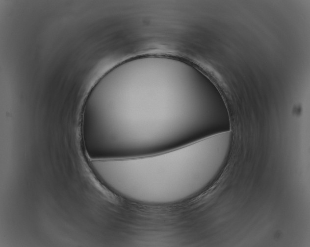 X0000091691375200708231121