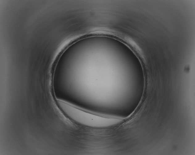 X0000091691376200708231121