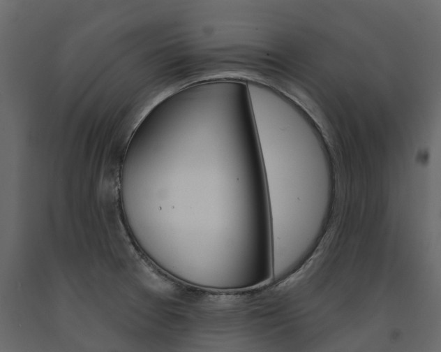 X0000091691377200708231121