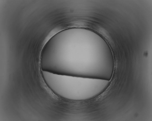 X0000091691378200708231121