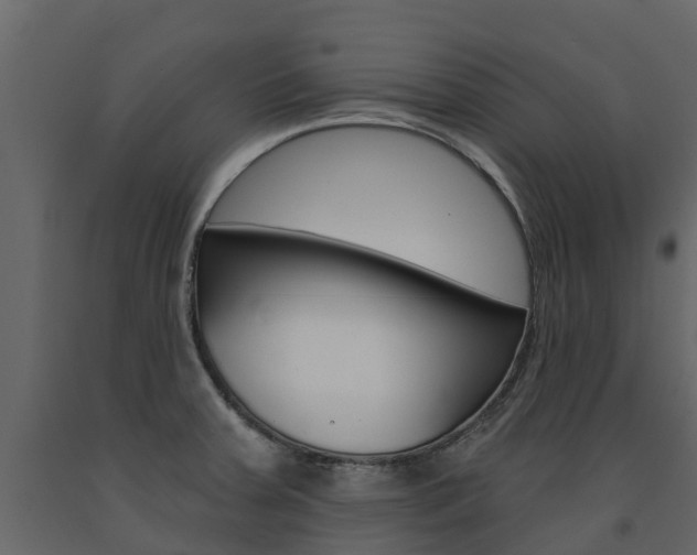 X0000091691379200708231121