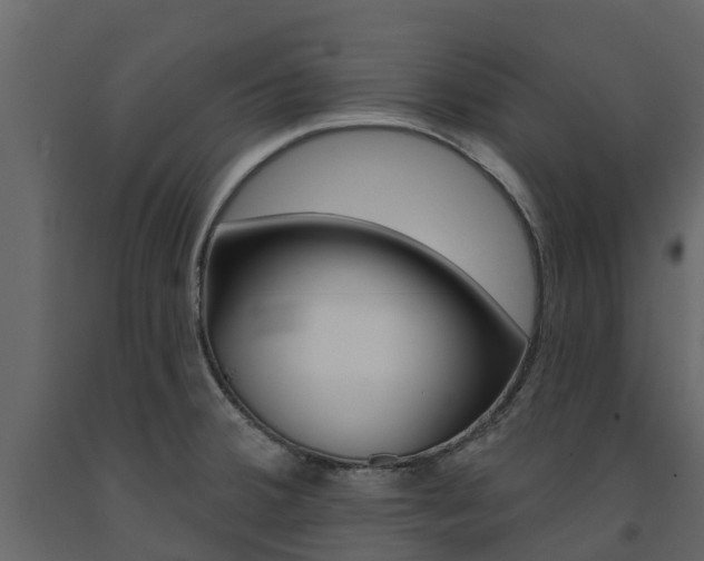 X0000091691380200708231121