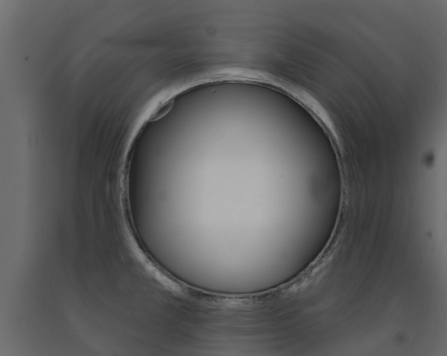 X0000091691381200708231121