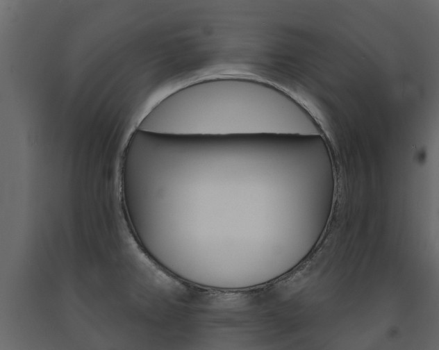 X0000091691382200708231121