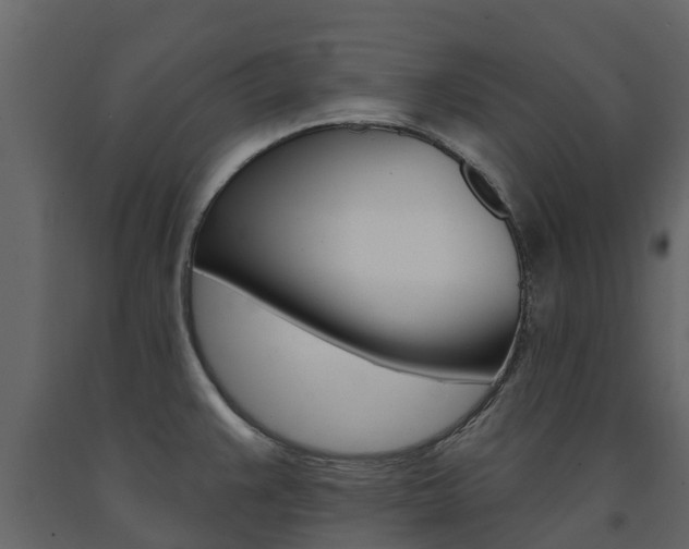 X0000091691383200708231121
