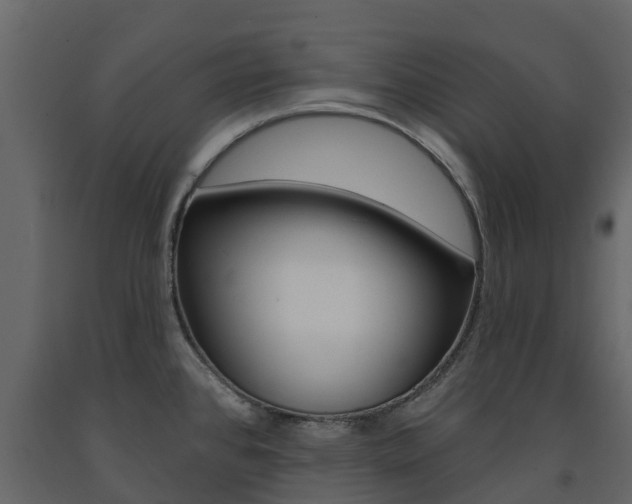 X0000091691384200708231121