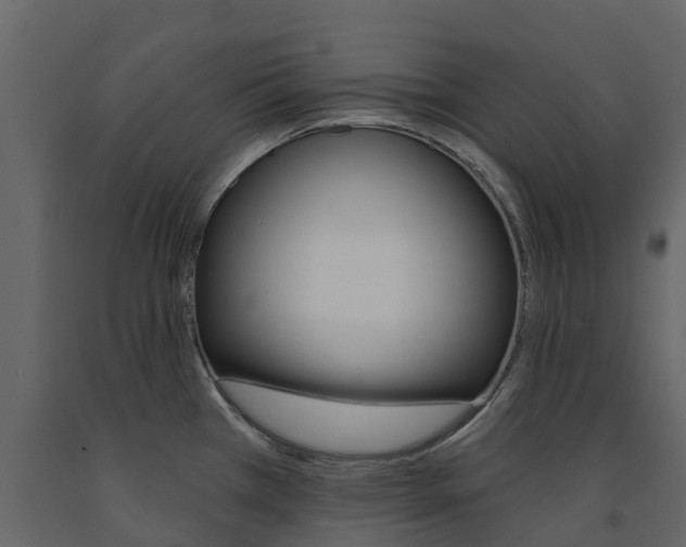 X0000091691385200708231121