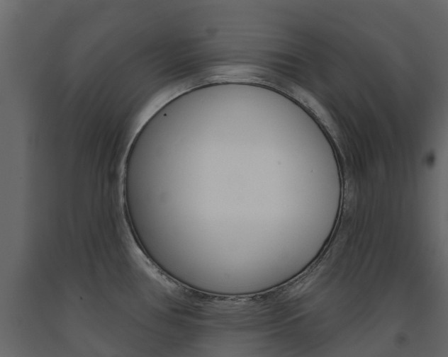 X0000091691386200708231121