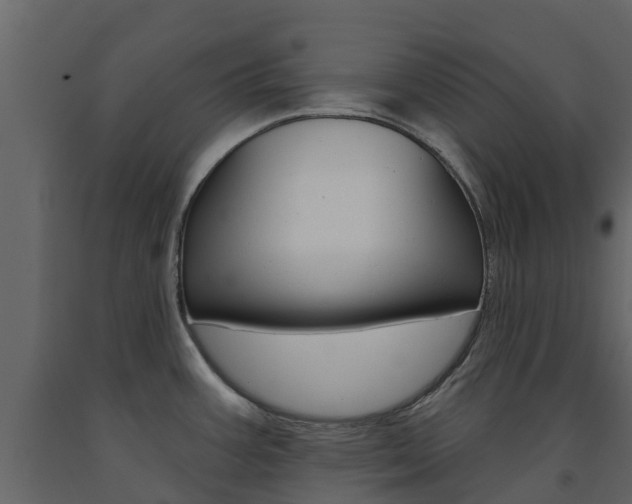 X0000091691387200708231121